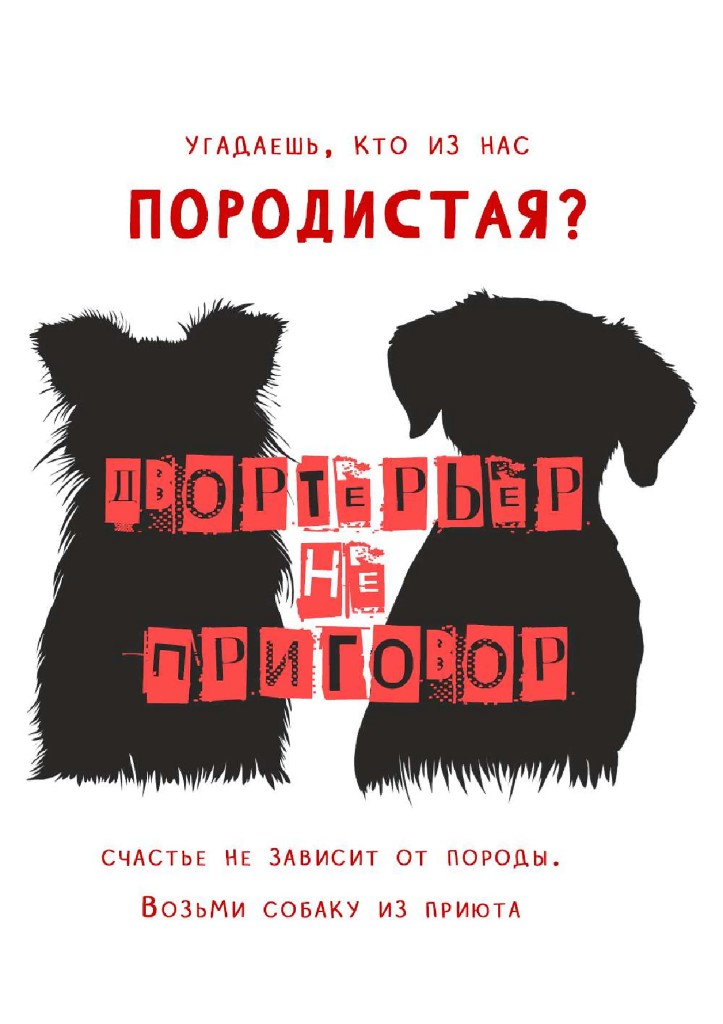 Двортерьер не приговор
